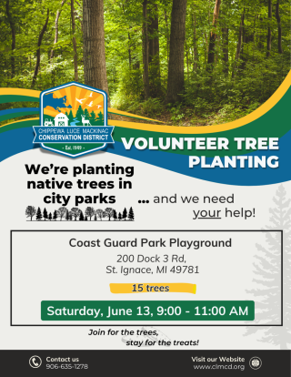 Volunteer Tree Planting