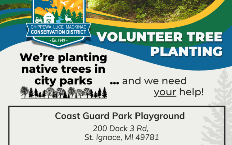 Volunteer Tree Planting